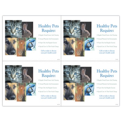 Photo Image Laser Postcards; Healthy Pets, 100/Pk