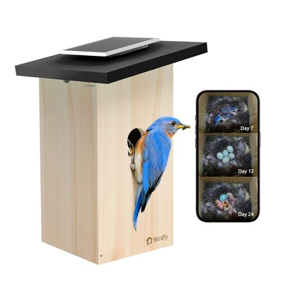 Birdfy Nest Ebony Birdhouse with Camera, Solar Panel and AI by Subscription, Multicolored (EPPAMBNI8802110)