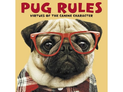 Pug Rules, Chapter Book, Hardcover (48130)