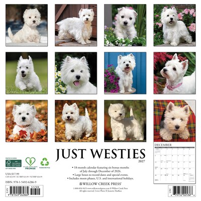 2027 Willow Creek 12 x 12 Monthly Wall Calendar, Assorted Colors (62869)