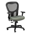 Tempur-PedicÂ® TP9000 Ergonomic Mesh Mid-Back Executive Chair; Olive