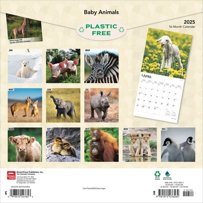 2025 BrownTrout Baby Animals 12 x 12 Monthly Square Wall Calendar (9781975476564)