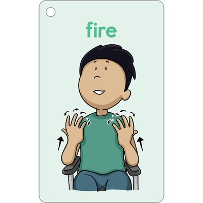 Carson-Dellosa Education Sign Language Flash Cards, 216/Pack (CD-734108)