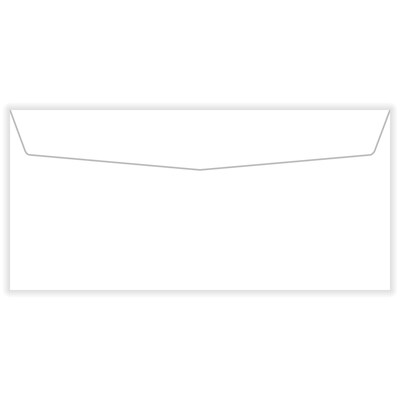 ComplyRight ADA Self-Seal Envelope (2003ES)