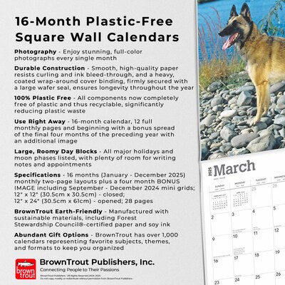 2025 BrownTrout Belgian Malinois 12" x 12" Monthly Wall Calendar (9781975478261)