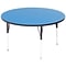 Blue 48 Round Activity Table