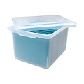 Iris® Plastic File Box; Clear
