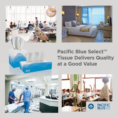 Pacific Blue Select Facial Tissue, 2-ply, 100 Tissues/Box, 30 Boxes/Carton (48100)