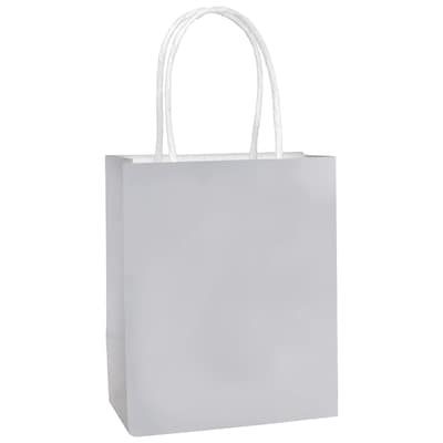 Party City Small Gift Bag, Silver (AM160831-NS)