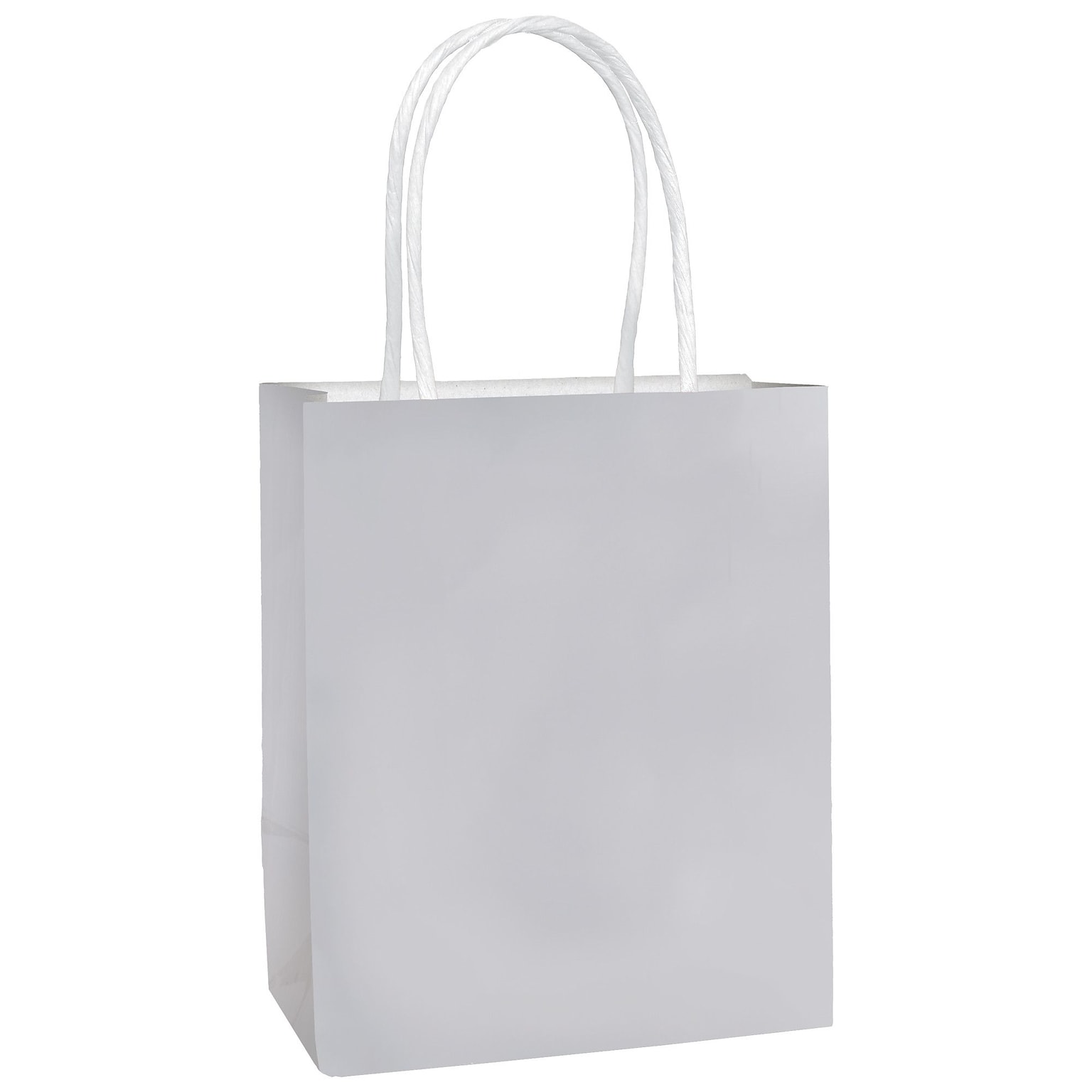 Party City Small Gift Bag, Silver (AM160831-NS)