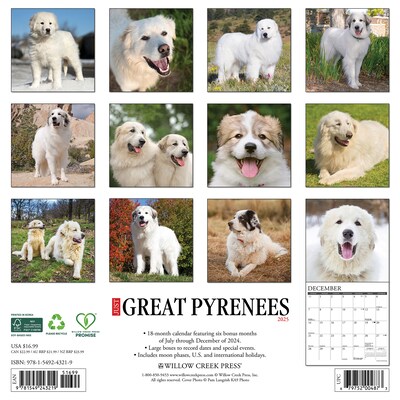2025 Willow Creek Just Great Pyrenees 12 x 12 Monthly Wall Calendar (43219)