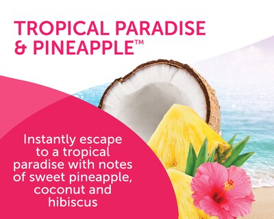 Bright Air Air Freshener Gel, Tropical Paradise & Pineapple Scent, 14 oz., 6/Carton (901076CT)