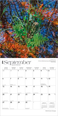 2026 BrownTrout Georgia Wild & Scenic 12" x 12" Monthly Wall Calendar (9798330703340)