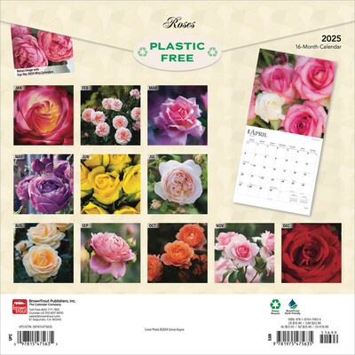 2025 BrownTrout Roses 12 x 12 Monthly Wall Calendar (9781975475635)