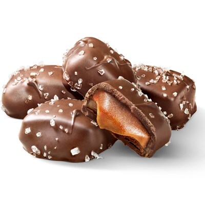 Sanders Holiday Milk Chocolate Sea Salt Caramel Pieces, 7 oz. (MRY31097)