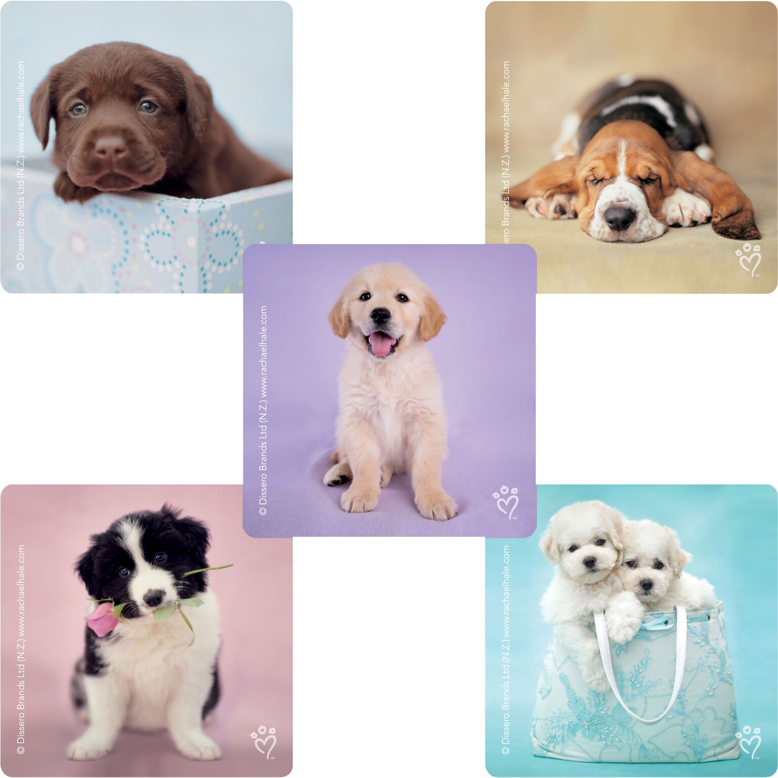 SmileMakers® Rachael Hale Dogs Stickers; 2-1/2”H x 2-1/2”W, 100/Box