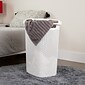 Mind Reader Plastic Laundry Hamper with Lid, White (60HAMP-WHT)