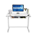 FlexiSpot EW8 48W Electric Adjustable Standing Desk, White (EW8W)