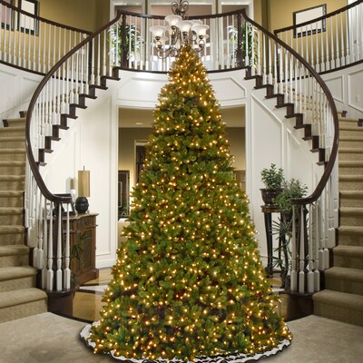 National Tree Company 16 ft. Pre-Lit Downswept Douglas Fir Artificial Christmas Tree with Color LED