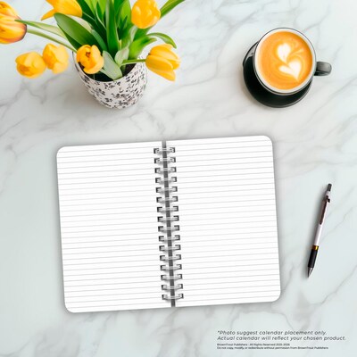 BrownTrout Starburst 5.25" x 8.25" Academic & Calendar Year Personal Organizer, Multicolored (9798330707041)