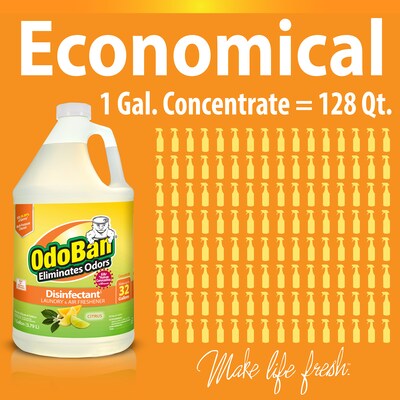 OdoBan Air Freshener & Deodorizer, Citrus Scent, 1 Gallon (911661-G4)