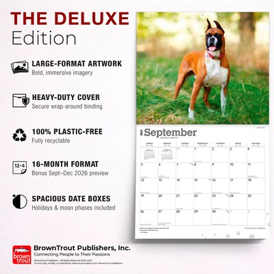 2027 BrownTrout For the Love of Boxers 14" x 12" Monthly Wall Calendar, Assorted Colors (9798330709236)