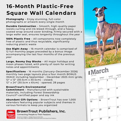 2026 BrownTrout Greyhounds 12" x 12" Monthly Wall Calendar (9798330703555)