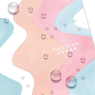 Five Star Five Star Brushy Moves 1-Subject Notebooks, Wide Ruled, 80 Sheets, Multicolor (930060F-24)