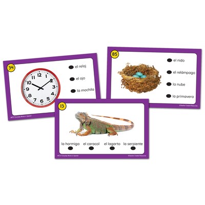 Teacher Created Resources Power Pen Learning Cards: Everyday Words in Spanish (TCR6727)