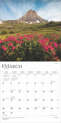 2025 BrownTrout Tranquility 12" x 12" Monthly Square Wall Calendar (9781975477882)