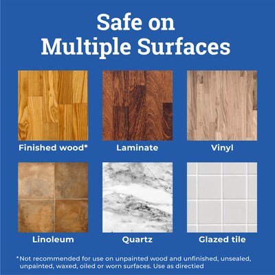 CloroxPro Clorox Fraganzia Multi-Purpose Cleaner, Lavender Meadows Scent, 175 oz. (60614)