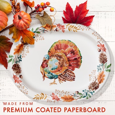 Say Hooray! Tasteful Turkey Paper Plates and Guest Towels Kit, Multicolored, 48/Pack (DTC9386E2H)