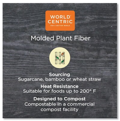 World Centric Fiber Plate, 10", Natural, 700/Carton (WORPLSCU10TLFP)