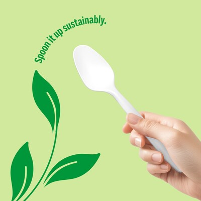 Perk™ Eco Compostable PLA Spoon, Medium-Weight, White, 1800/Carton (PK56203CT)