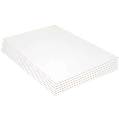 Bazic Foam Board, 20 x 30, White, 6/Bundle(BAZ589-6)