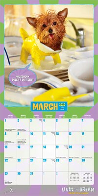 2026 BrownTrout Avanti Livin' the Dream 7" x 7" Monthly Wall Calendar (9798330707966)