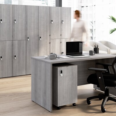 Bush Business Furniture Assure Mobile File Cabinet, Letter/Legal Size, Lockable, 26H x 16W x 20D,