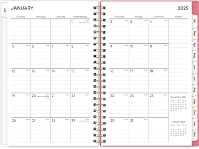 2025 Blue Sky Fly By 5" x 8" Weekly & Monthly Planner, Plastic Cover, Multicolor (140196-25)