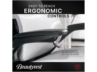 Beautyrest ErgoMax Ergonomic Mesh/Fabric Swivel Task Chair, Gray (60078-Gry)