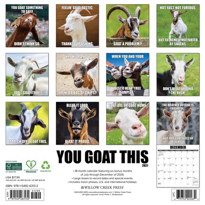2027 Willow Creek You Goat This 12 x 12 Monthly Wall Calendar, Assorted Colors (63132)