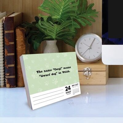 2027 Willow Creek All About Dogs 6.2" x 5.4" Daily Day-to-Day Calendar, Assorted Colors (64955)