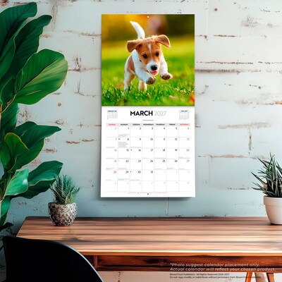 2027 BrownTrout Puppy Love 12" x 12" Monthly Wall Calendar (9347301107344)