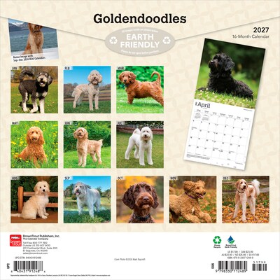 2027 BrownTrout Goldendoodles 12 x 12 Monthly Wall Calendar (9798330712489)