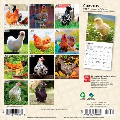 2027 BrownTrout Chickens 7 x 7 Monthly Wall Calendar, Assorted Colors (9798330709786)