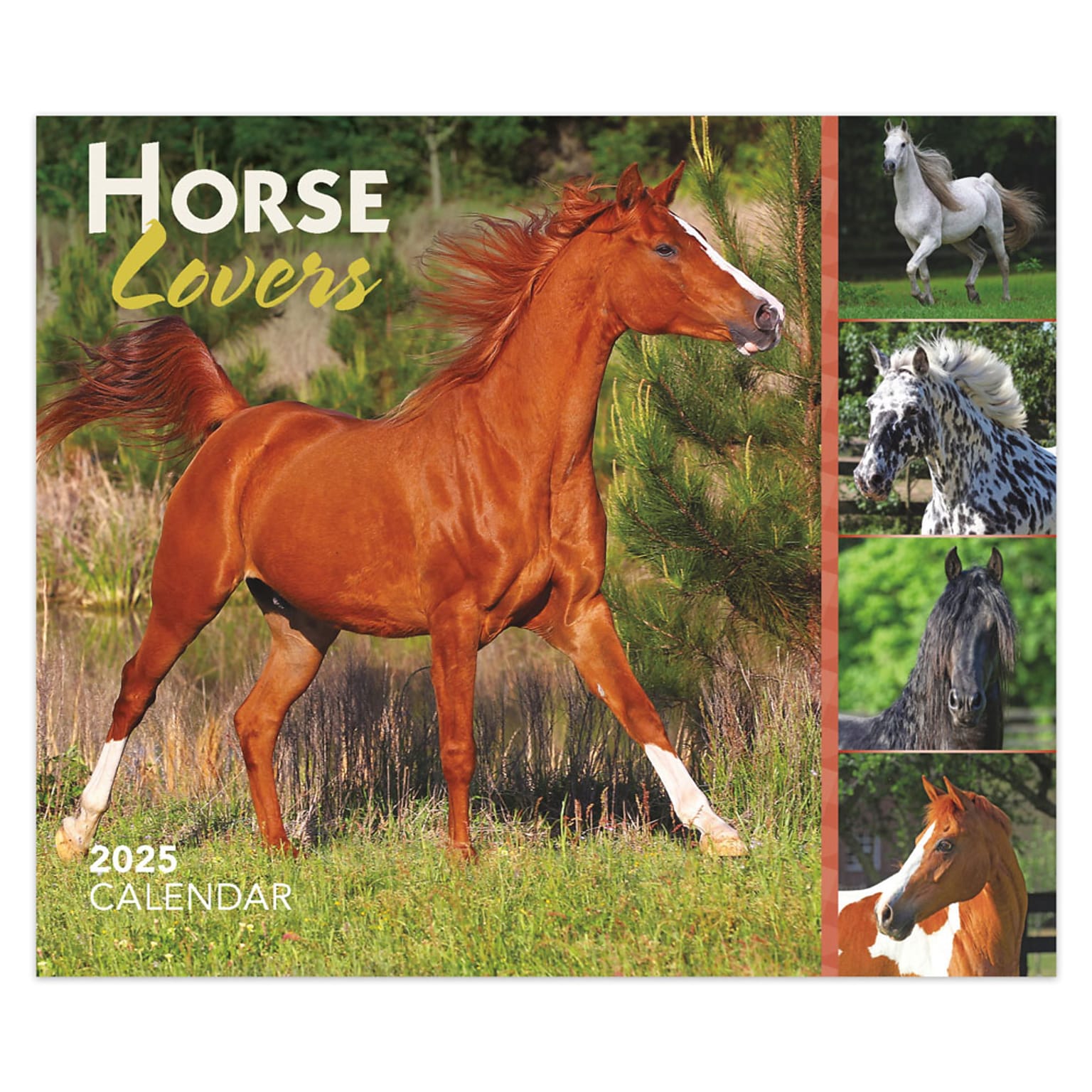 2025 BrownTrout Horse Lovers 6 x 5 Day-to-Day Desktop Box Calendar (9781975478421)