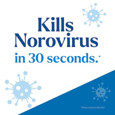 CloroxPro Clorox EcoClean Disinfecting Cleaner Spray Bottle, 32 fl. oz. (60213)