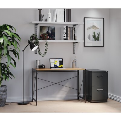 Hirsh 2-Drawer File Cabinet with Wheels and Arch Style Handle, Letter Size, Charcoal, 23"D (21118)