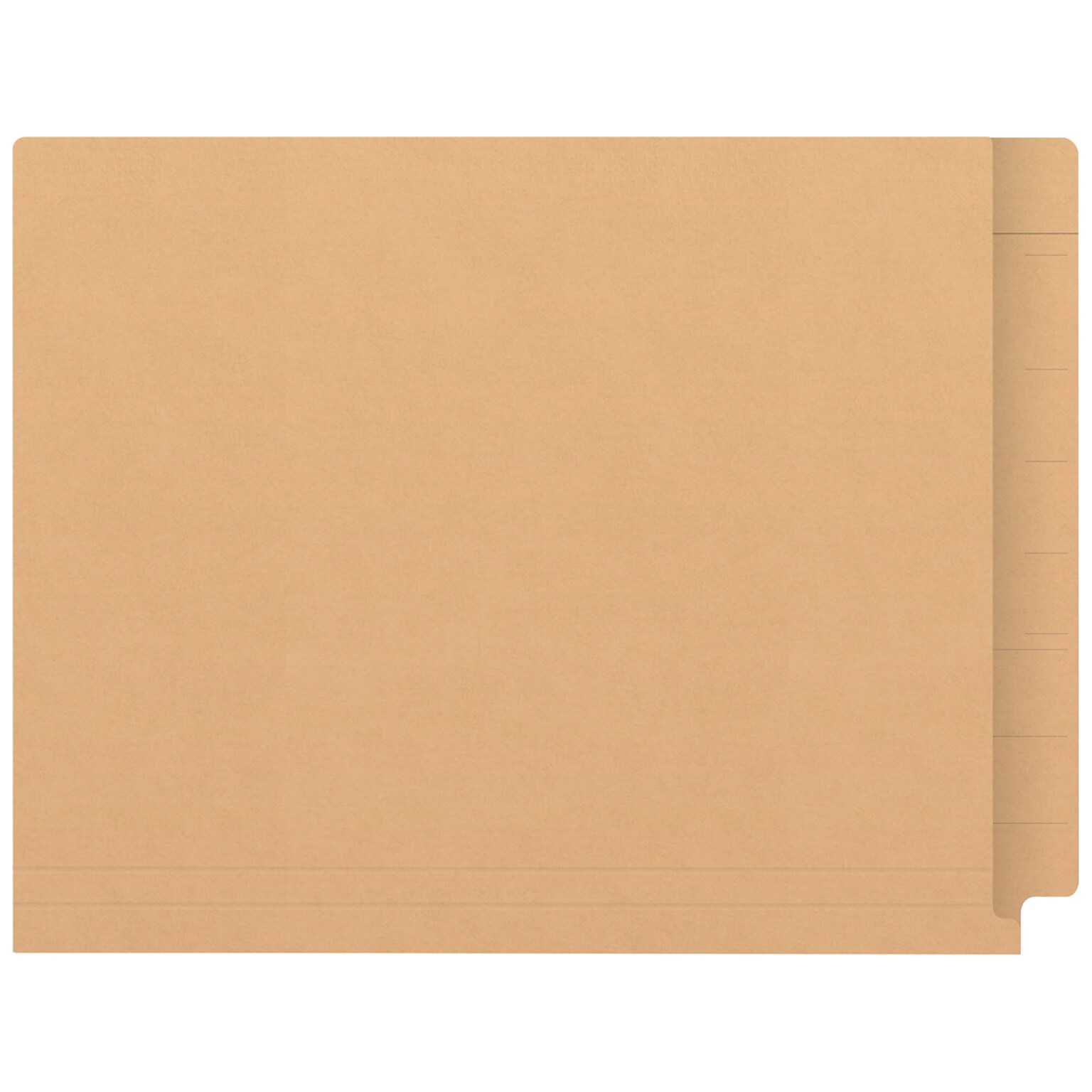 Medical Arts Press Kardex Match Reinforced End Tab File Folder, Straight Cut, Letter Size, Tan, 100/Box (S-09482-TAN)