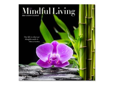 2024 Brush Dance Mindful Living 14 x 12 Monthly Wall Calendar (9781975470036)