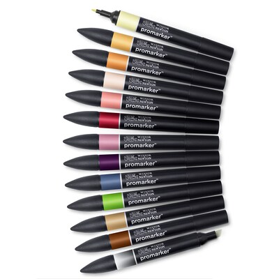 Winsor & Newton Promarker Dual-Tip Alcohol Based Marker, Manga Steampunk, 12/Pack (WNX0290143)